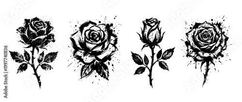 rose , Grunge brush distressed paint splatter vector set 