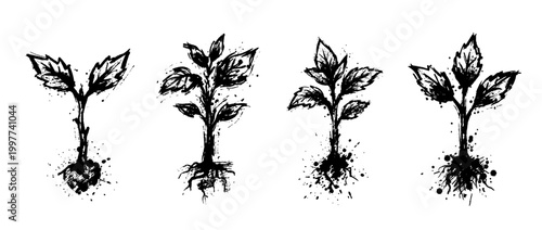 seedling , Grunge brush distressed paint splatter vector set 