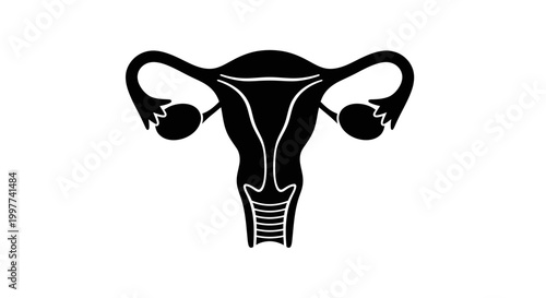 Female Uterus Reproductive System Silhouette Icon
