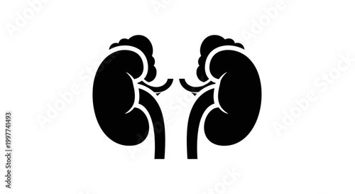 Adrenal Glands Anatomy Silhouette Icon