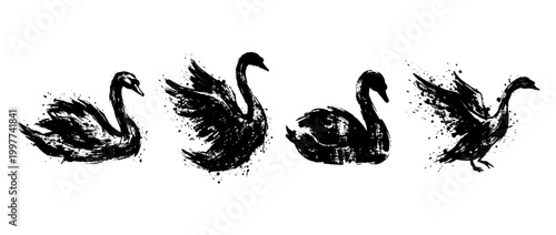 swan , Grunge brush distressed paint splatter vector set 