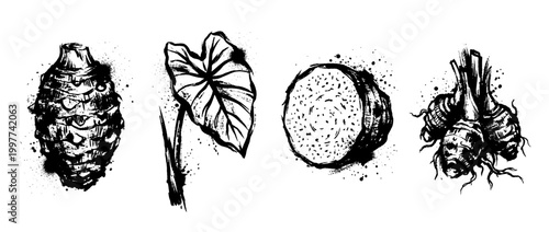 taro , Grunge brush distressed paint splatter vector set 