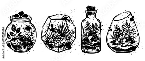 terrarium , Grunge brush distressed paint splatter vector set 