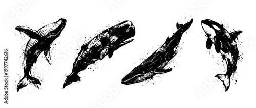 whale , Grunge brush distressed paint splatter vector set 