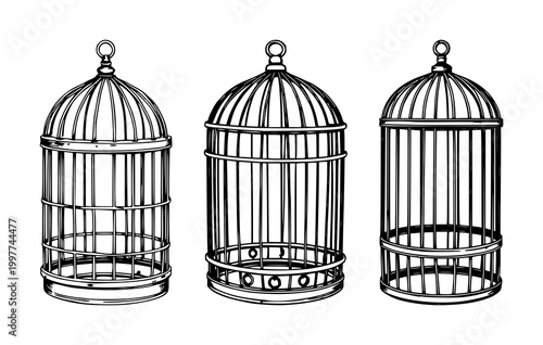 Birdcage set with vintage wooden frame and black line art design featuring illustration, minimalist, outline with wooden detail and cage