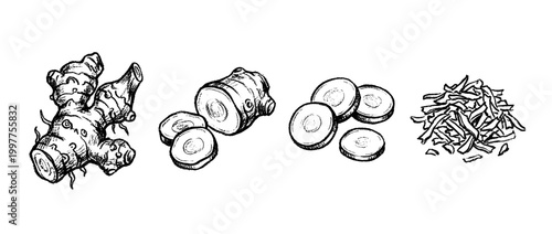 galangal , chalk texture vector set
