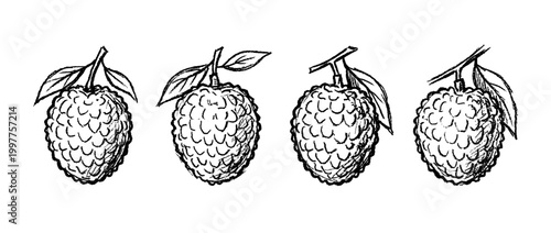 lychee , chalk texture vector set