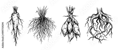 root , chalk texture vector set