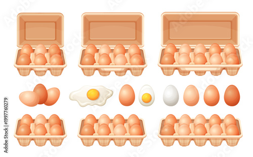Chicken eggs in cardboard box tray, hen eggshell storage package, fresh organic farm food product. Poultry shell in open paper cardbox pack container. Healthy natural cooking eating ingredient. Vector