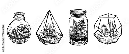 terrarium , chalk texture vector set