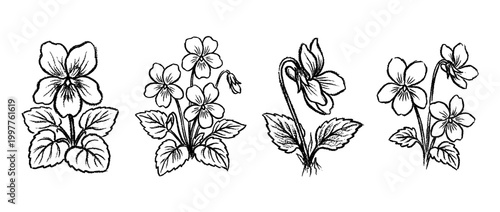 violet , chalk texture vector set