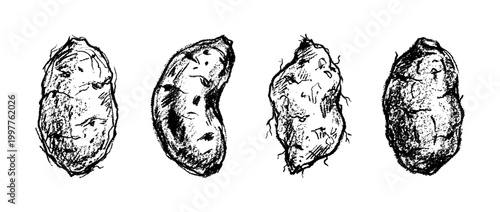 yam , chalk texture vector set