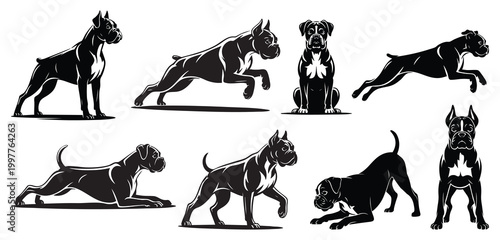 Boxer Dog Silhouettes Set in Different Poses and Actions