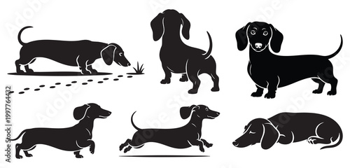 Dachshund Dog Silhouette Set – Cute Wiener Dog Poses Collection Vector Illustration
