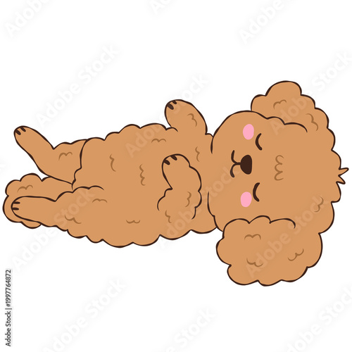 Cute Brown Poodle Puppy Sleeping on its Back, Adorable Curly Dog Napping Belly Up Illustration