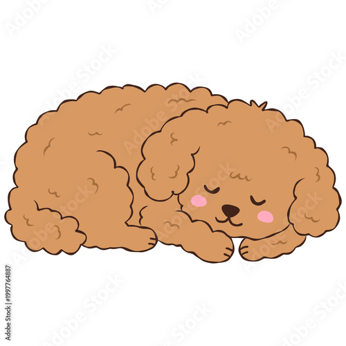 Cute Brown Poodle Puppy, Adorable Curly Dog Character Drawing Illustration