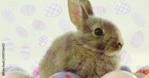 Sitting small brown rabbit in studio facing right on bedding, showing whiskers, pastel egg overlays