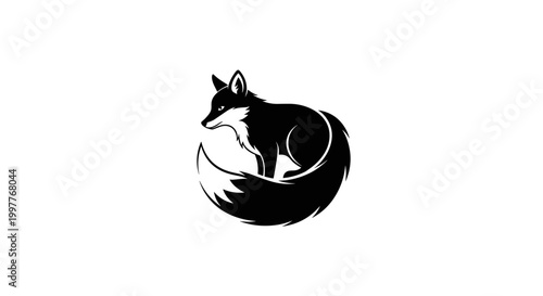 Black and white fox curled up.