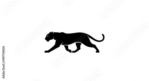 Black panther walking in profile view.