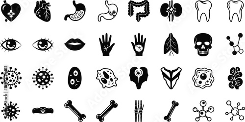 Human Body Organ and Medical Biology Vector Icon Set with Heart Kidney Brain Virus Bone and Cell Anatomy Symbols