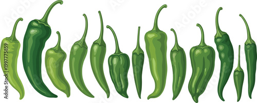 Variety of green chili peppers a colorful and spicy vegetable collection