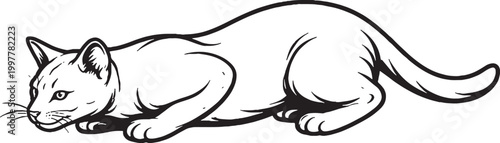 Ocicat cat pouncing crouch line art, hunting feline pose illustration, black white cat vector, stalking domestic cat drawing