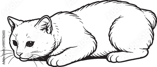 Konstfotografi Manx cat pouncing crouch black and white line art vector side view isolated
