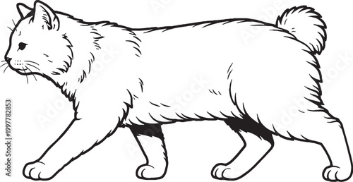 Obraz na plátně Kurilian Bobtail cat walking side line art, side profile cat walking pose outlin