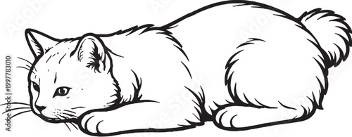 Kurilian Bobtail cat pouncing crouch line art, hunting cat pose outline illustration isolated on white