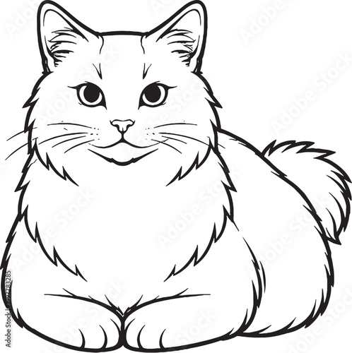 Fotografija Kurilian Bobtail cat loaf sitting line art, front view compact cat pose outline