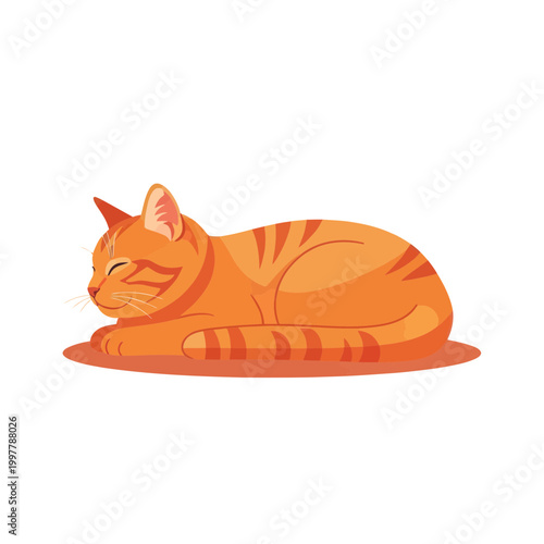 Orange Cat Sleeping on Floor.