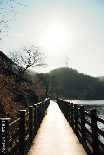 bridge over the river