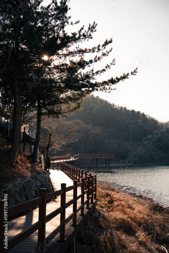 sunset in the park