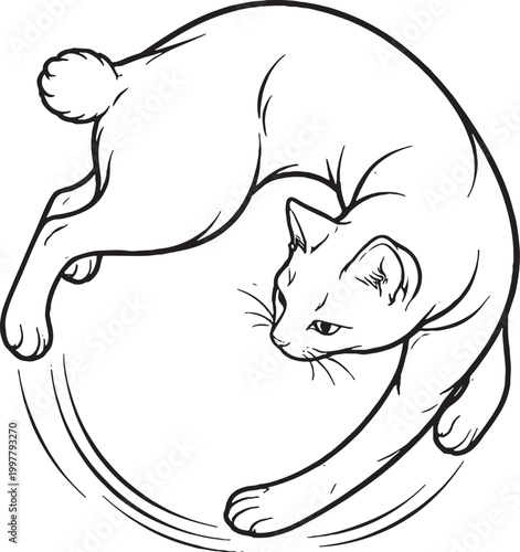 Obraz na plátně Japanese Bobtail Cat Chasing Tail Line Art Illustration Isolated Black And White