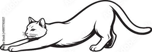 Bombay cat stretching forward line art black and white vector isolated feline stretch pose illustration