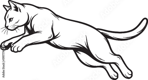 Bombay cat mid air leap line art black and white vector isolated jumping feline illustration
