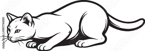 Bombay cat pouncing crouch line art black and white vector isolated hunting cat posture illustration