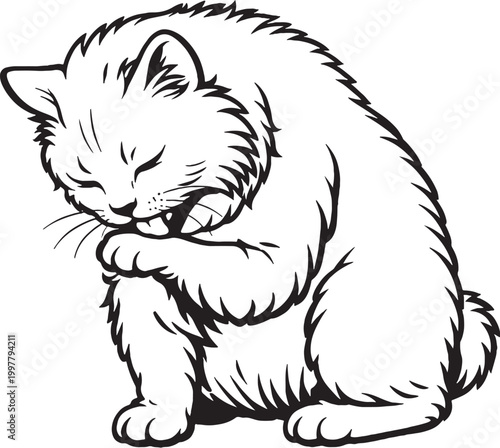 Foto Cymric cat grooming paw sitting fluffy tailless cat black and white line art ill