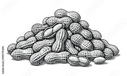 Heap of raw peanuts in shell as hand drawn black white monochrome vector artwork.