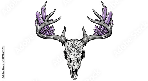Deer Skull Antlers Crystal Magic Occult Symbolism