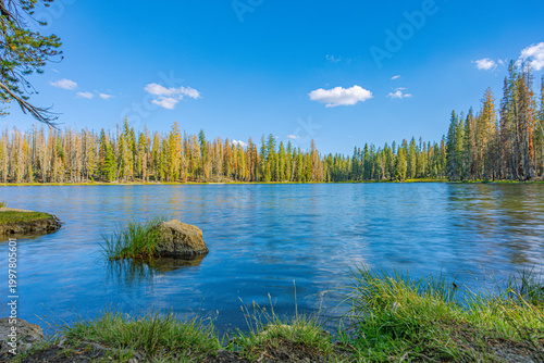 Foto Peaceful blue Manzanita Lake with mirror-like reflections of pine forest shoreline under a bright blue sky in Lassen Volcanic National Park
