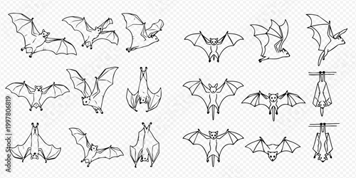Set of outline bats in various poses, flying, hanging, and resting, on a transparent background.