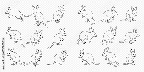 Set of cute bilby line art illustrations in various poses.