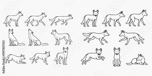 Set of various dog poses and actions, including walking, running, sitting, and lying down, in a line art style.