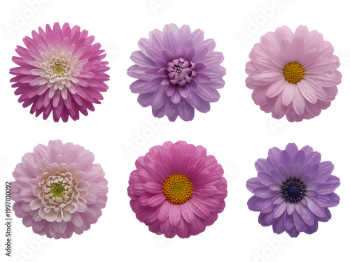 Colorful pixel art flower with bright center in square blocks design isolated on transparent background, illustration