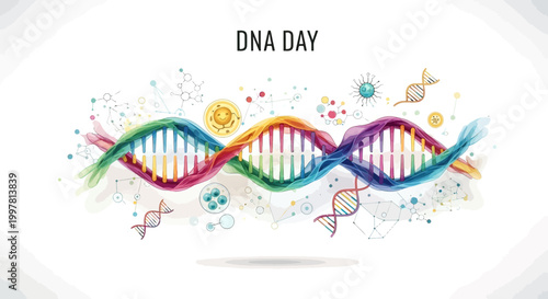 DNA Double Helix Structure Model 1.