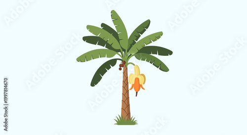 Tropical Banana Tree with Bunch of Yellow Bananas and Flower