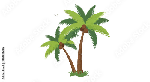 Tropical Palm Trees with Coconuts and Green Grass, Isolated on White Background