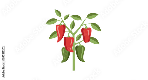 Red and Green Bell Peppers Growing on Plant Stem with Leaves, Isolated