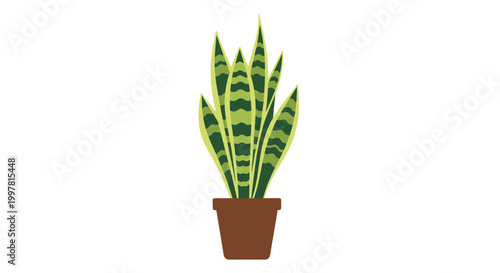 Sansevieria Plant in Brown Pot, Minimalist Vector Illustration